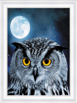 Желтоглазая сова под полной луной
