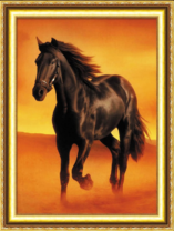 Чёрный большой конь в пустыне