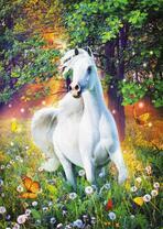 Белый конь на лесной полянке