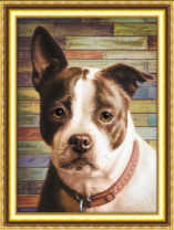 Милый черно-белый пёсик