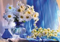 Букеты красивых ромашек