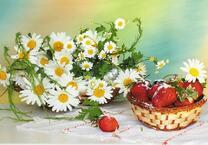 Ромашки и спелая клубника