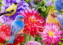 Яркие птички на летних цветочках