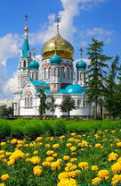 Цветущие одуванчики у красивого собора