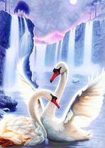 Влюбленные лебеди на озере с водопадами