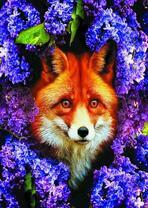 Рыжая лисичка в цветущей сирени