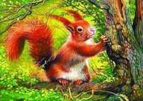 Пушистая белочка на ветке дуба