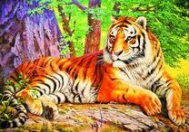 Тигр на камне в ярких лучах солнца