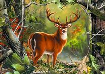 Красивый олень в лесу