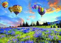 Воздушные шары над полем цветов