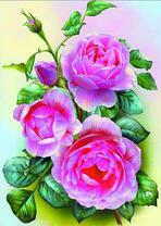 Розовые розы на желтом фоне