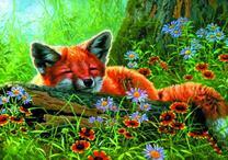 Лисенок отдыхает под деревом в цветах