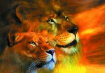 Львица со львом на фоне огненного неба