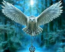 Белая сова с амулетом в темном лесу