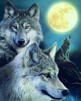 Серые волки в полнолуние