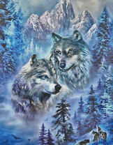 Серые волки в туманном лесу среди гор