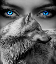 Серая волчица и голубоглазая девушка