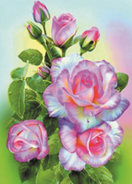 Нежно-розовые розы