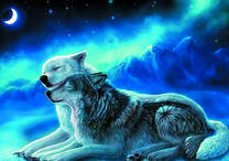 Два волка в ночном свете