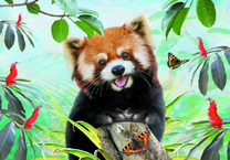 Смешной енот и бабочки