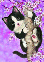 Котёнок с круглыми глазам на цветущем дереве