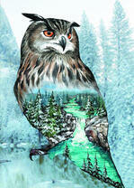 Филин - хранитель водопада