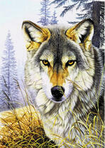 Грозный серый волок