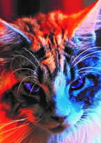 Портрет в красном свете