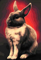 Серо-белый кролик