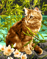 Котик у реки