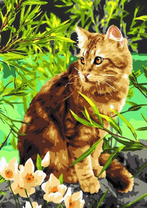 Испуганный котик возле цветов