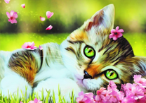 Зеленоглазый котёнок среди цветов