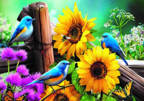 Синие птички на ограде среди ярких цветов