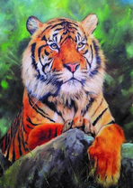 Большой красивый тигр