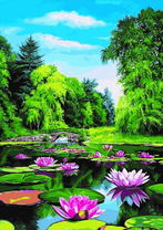 Сиреневые лотосы на тихой реке