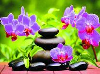 Нежные орхидеи и гладкие камушки