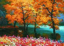 Осенние деревья и цветы у лебединого озера