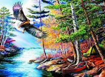 Полёт орла над рекой в лесу