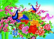 Павлины на ярких цветах