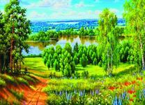 Цветущая поляна вблизи реки