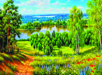 Цветочные поляны у березовой рощи