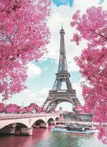 Весенний Париж и Сена