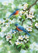 Синие птички на цветущей яблоне