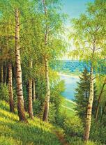 Лесовой склон речного берега