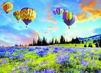 Воздушные шары над весенним лугом