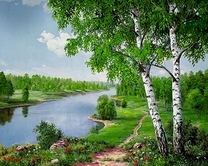 Тонкие березки на берегу реки