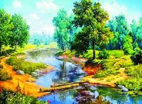 Мелкая река среди леса