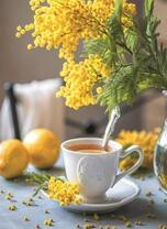 Веточка мимозы и чашечка чая