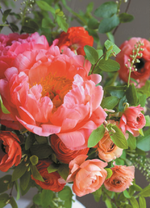 Красота пионовидных роз