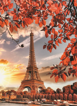 Вид на Эйфелеву башню сквозь осеннюю листву